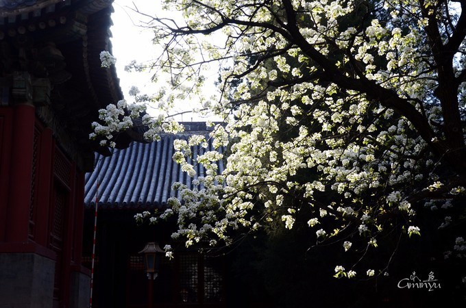 京城，掬水月在手，弄花香满衣